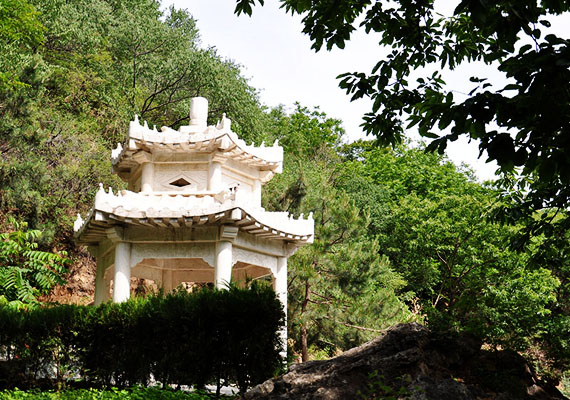 墓区