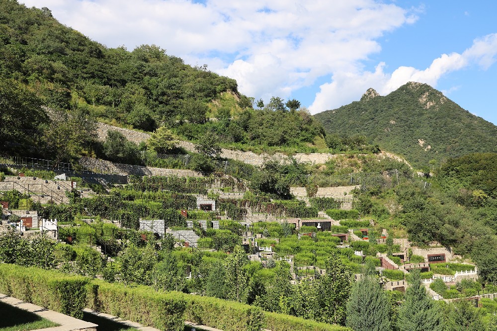 九公山陵园环境好吗？墓地价格与风水特色揭秘