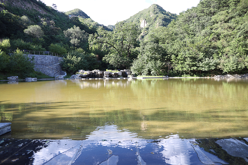 九公山长城纪念林怎么样？环境、碑型与服务全解析