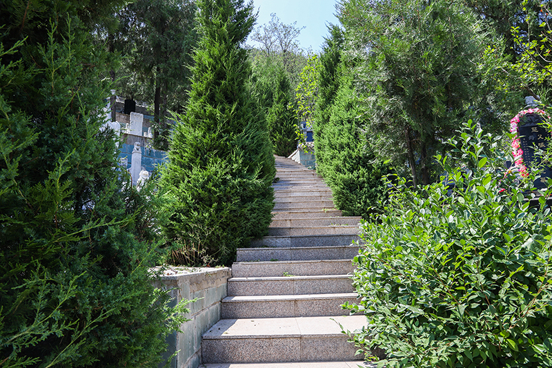 BD4A0118.jpg