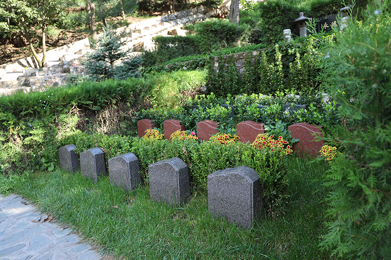 BD4A8935.JPG
