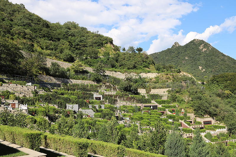 九公山长城纪念林：长城畔的诗意安息地
