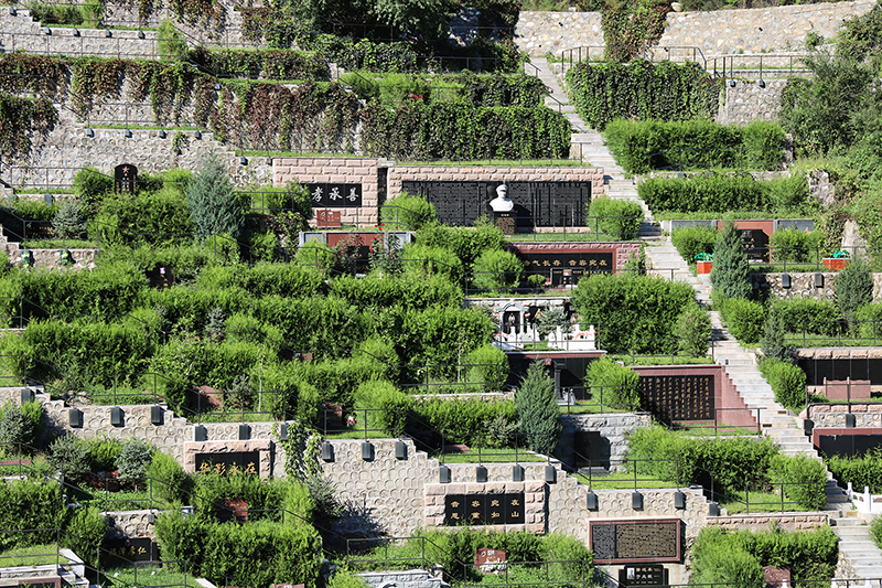 九公山长城纪念林：追寻宁静与永恒纪念的理想之地