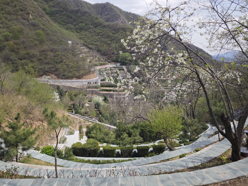 九公山长城纪念林：长城畔的生命纪念圣地