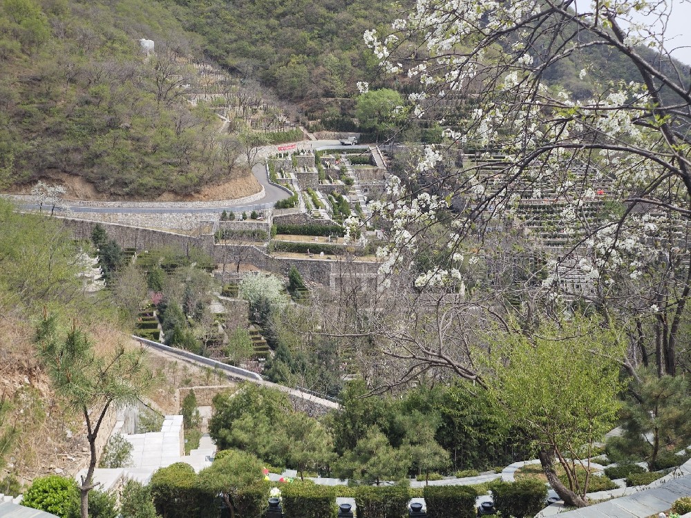 九公山长城纪念林：自然与历史交织的生命归宿（400 - 040 - 4090）